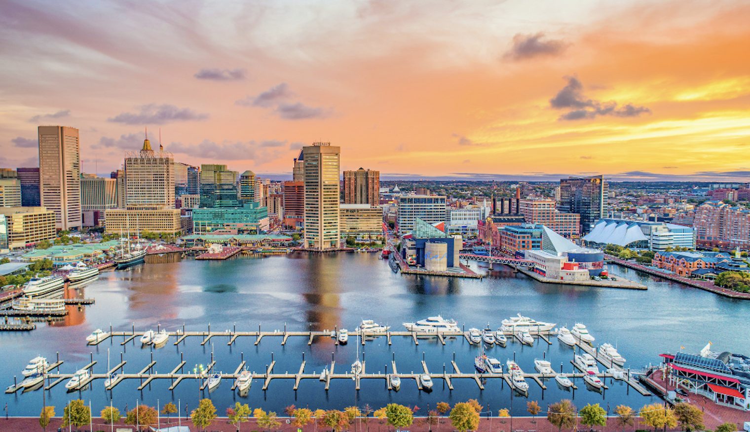 Baltimore City homes for sale